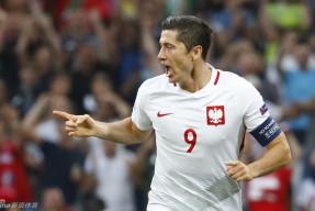 开云-波兰晋级欧洲杯